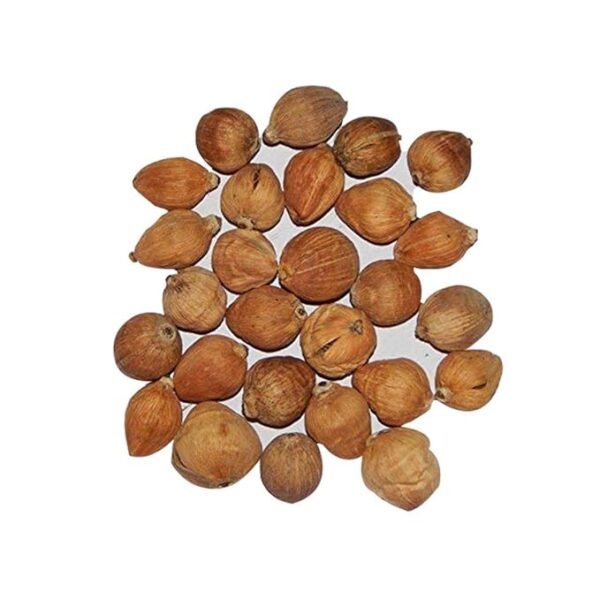 Original Laghu Coconut / Sriphal / Laghu Nariyal - Set of 11 Pieces - Image 4