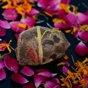 Ekakshi Nariyal