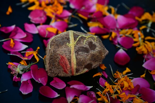 Ekakshi Nariyal