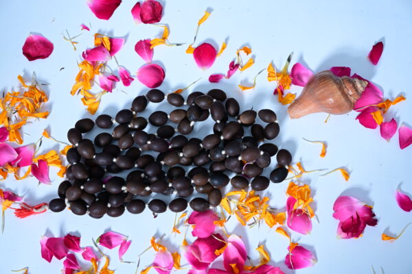Lotus Seeds Prayer Rosary Japa