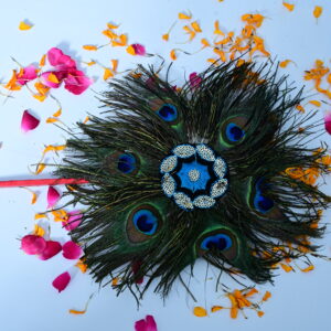 Peacock Feather, MorePankh