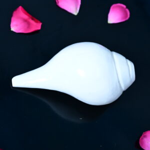 Original Shankh