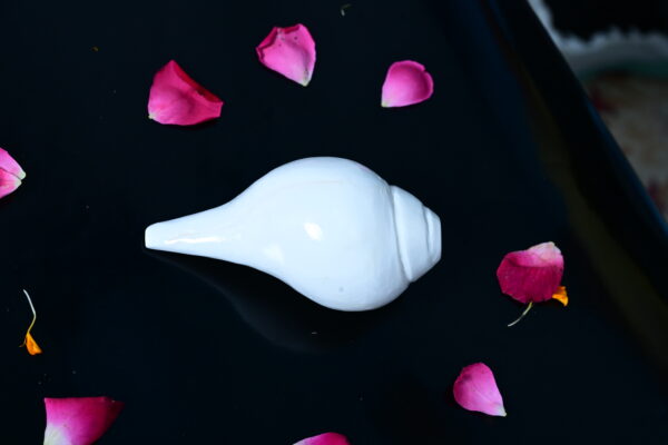 100% Natural Blowing Vishnu Shankh - Image 3