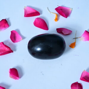 Shaligram