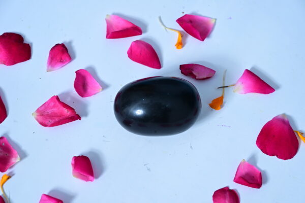 Shaligram