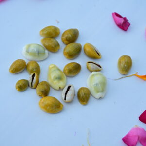 Yellow-Kaudi