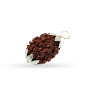 Nepali 3 Mukhi Rudraksha (Lab Certified)
