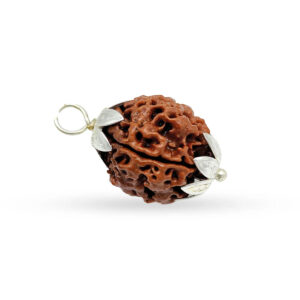 Nepali 4 Mukhi Rudraksha (Lab Certified)
